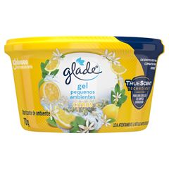 GLADE GEL CITRUS 70GR
