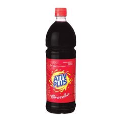 ATIV PLUS XAROPE DE GROSELHA 1LT